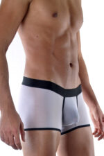 Deluxerie Ferfi Boxer Cairne 2