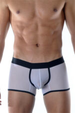 Deluxerie Ferfi Boxer Cairne 4