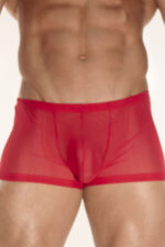 Deluxerie Ferfi Boxer Charlemagne