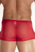 Deluxerie Ferfi Boxer Charlemagne 2