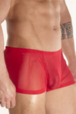 Deluxerie Ferfi Boxer Charlemagne 3